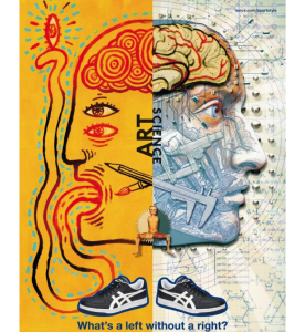 LeftRightBrain_curriculum